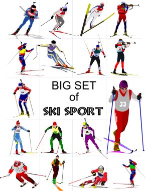 Big set of Ski sport colored silhouettes. Vector illustration clipart