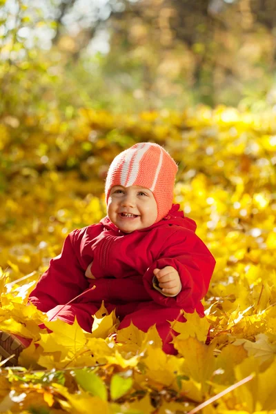 Criança feliz sentado em folhas de bordo — Fotografia de Stock