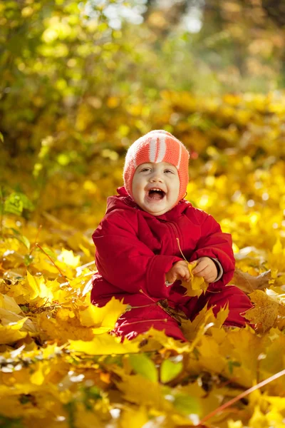 坐在枫叶上的快乐蹒跚学步 — 图库照片