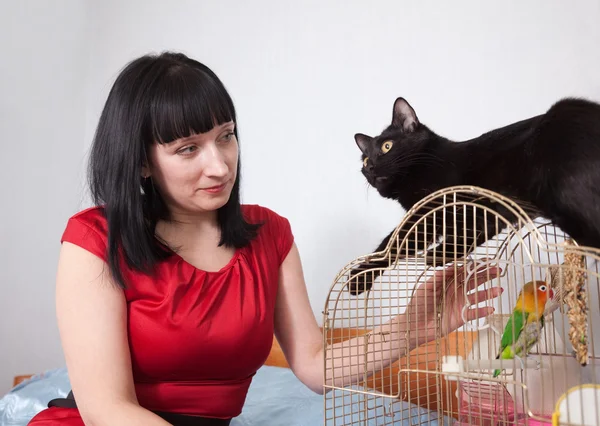 Mujer con gato y loro —  Fotos de Stock