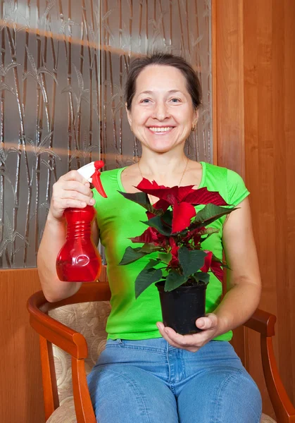 Mulher com flores Estrela de Natal — Fotografia de Stock