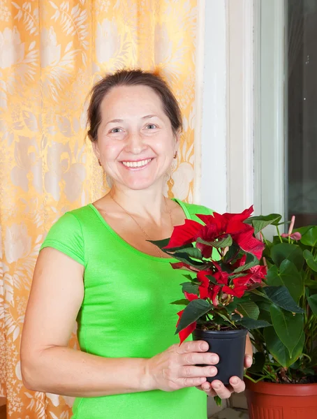 Mature woman with Christmas Star flowers — Stock Photo, Image