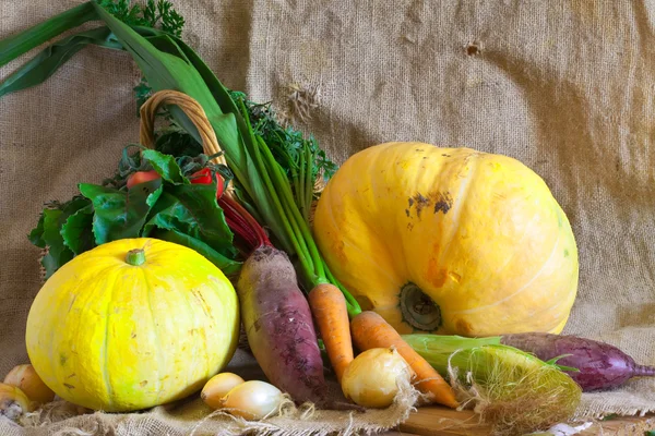 Harvested vegetables — Stock Photo, Image