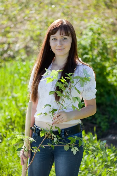 Woman planting currant — Stock Photo, Image