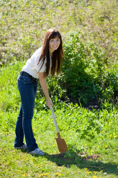 Садівництво жінка — стокове фото