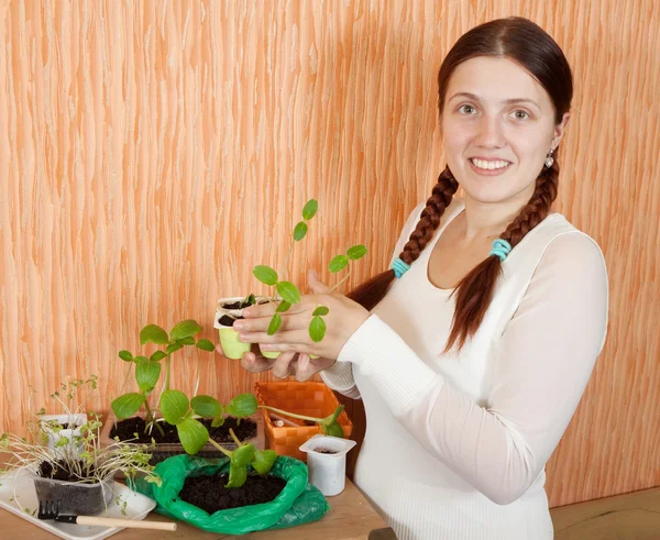 Woman with seedlings — Stock Photo, Image
