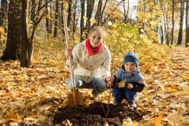 Family planting tree in autumn clipart