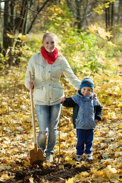 Kadın oğluyla orchard sonbaharda yapmak — Stok fotoğraf