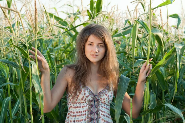 Vrouw in maïs plant — Stockfoto
