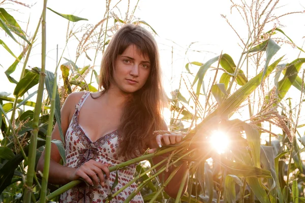 Frau in Maispflanze — Stockfoto