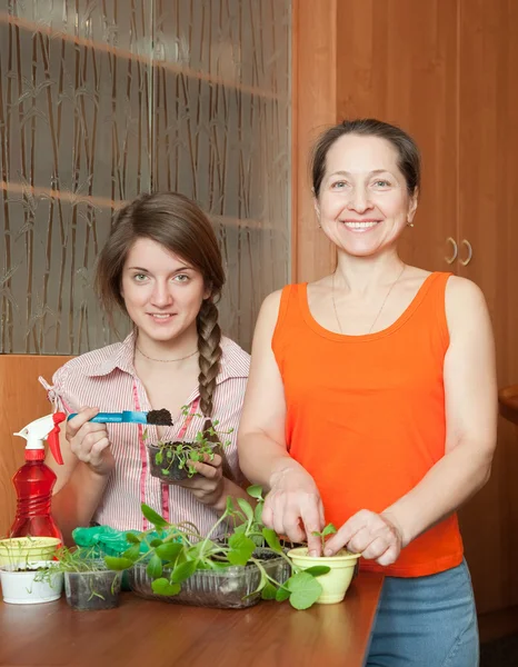 Two women with sprouts — Stock Photo, Image