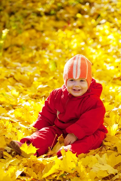 Criança no parque de outono — Fotografia de Stock