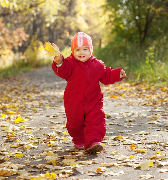 Joyeux bambin dans le parc d'automne — Photo