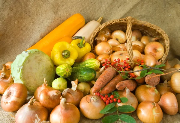 Zwiebeln im Korb und Gemüse — Stockfoto