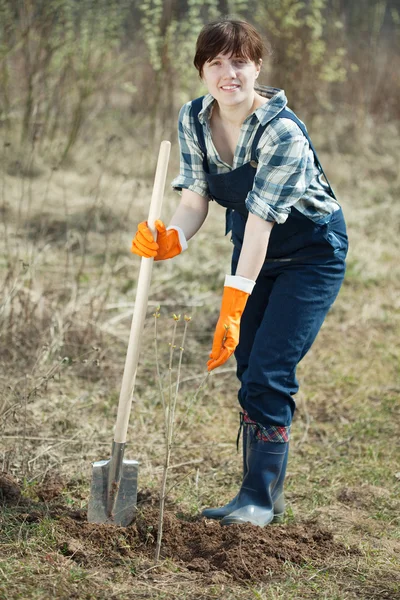 Famale farmer planting sprouts — Stock Photo, Image