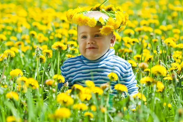 stock image Little baby in flowers wreath