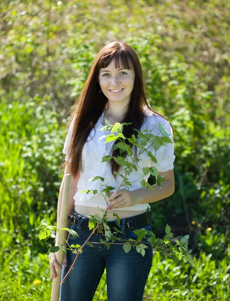 stock image Happy woman planting currant