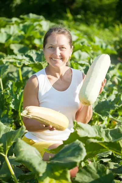 Vrouw plukken plantaardige beenmerg — Stockfoto