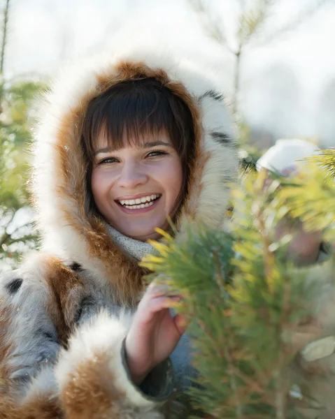 冬の松林の中の女の子 — ストック写真