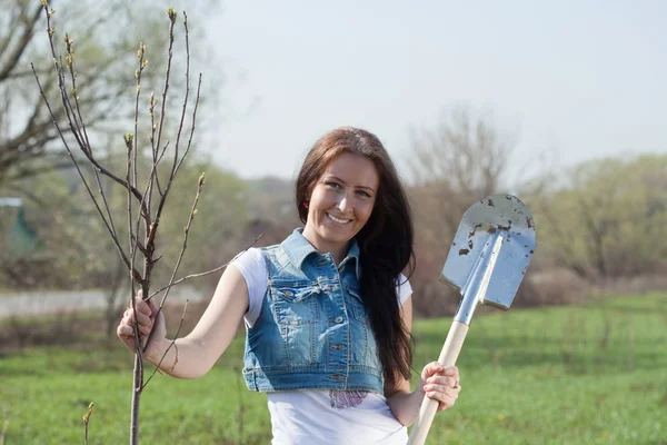 Vrouwelijke tuinman aanplant boom — Stockfoto