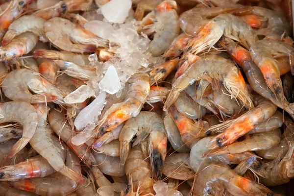 Crevettes sur le comptoir du marché — Photo