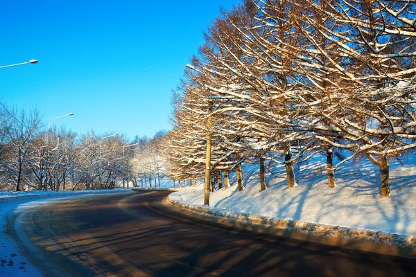 Straße durch den Winterwald — Stockfoto
