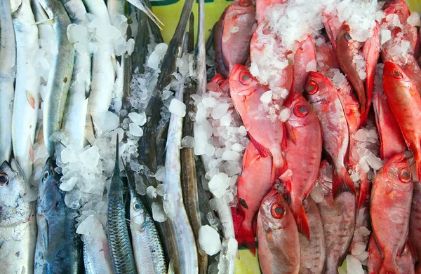 Raw fish on market counter — Stock Photo, Image