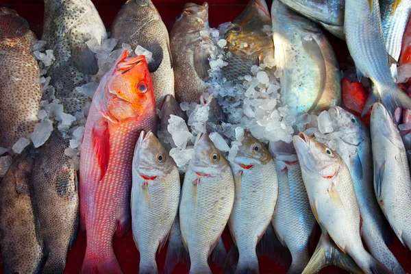ปลาบนเคาน์เตอร์ตลาด — ภาพถ่ายสต็อก
