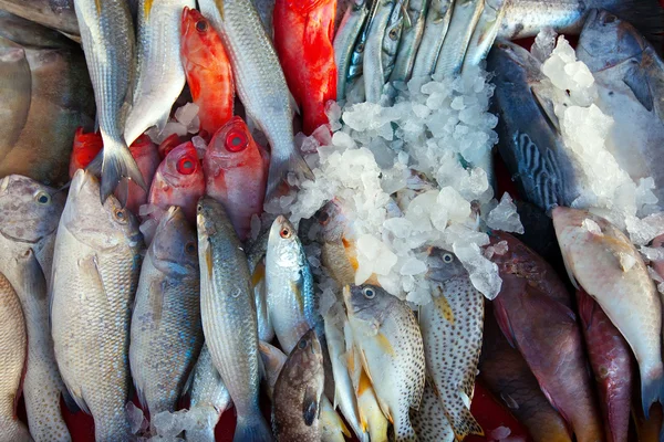 Raw fish on market — Stock Photo, Image