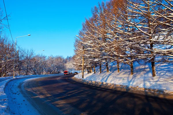 穿越冬季森林的道路 — 图库照片
