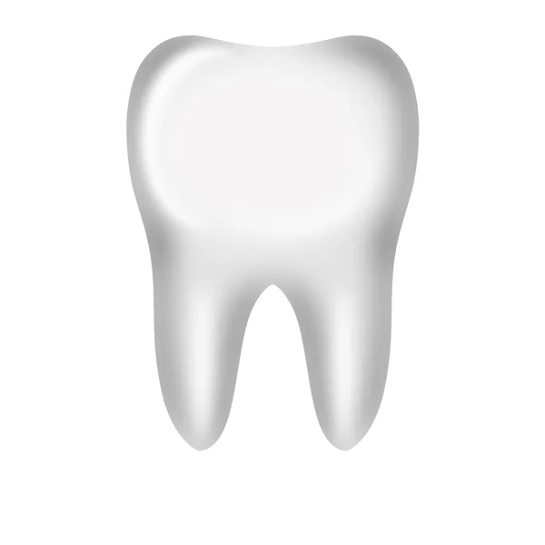 Зуб — стокове фото