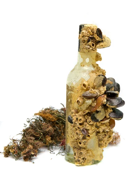 Bottle overgrown with mussels — Stock Photo, Image