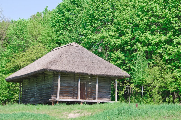 Ukrainian old log hut in a forest