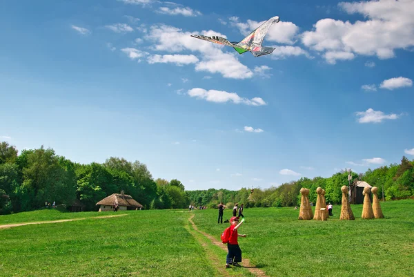 Мальчик и воздушный змей в поле — стоковое фото