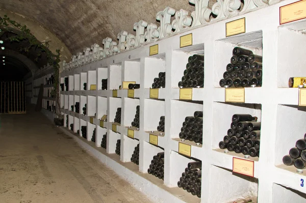 Collection de vins en Winnery — Photo