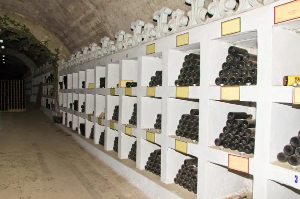 Coleção de vinhos em winnery — Fotografia de Stock