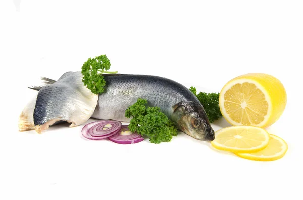 Herring with herbs and lemon — Stock Photo, Image