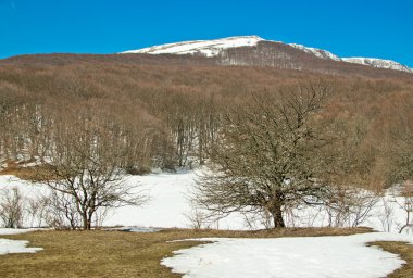 dağ ve orman