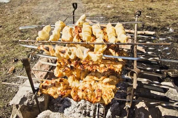 Barbecue en pique-nique — Photo