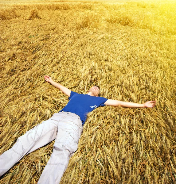 Rest in yellow meadow — Stock Photo, Image
