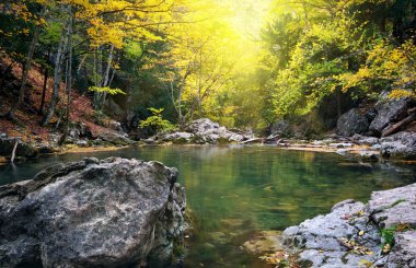 Lake in autumn forest. clipart