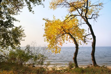 Sonbahar manzarası.