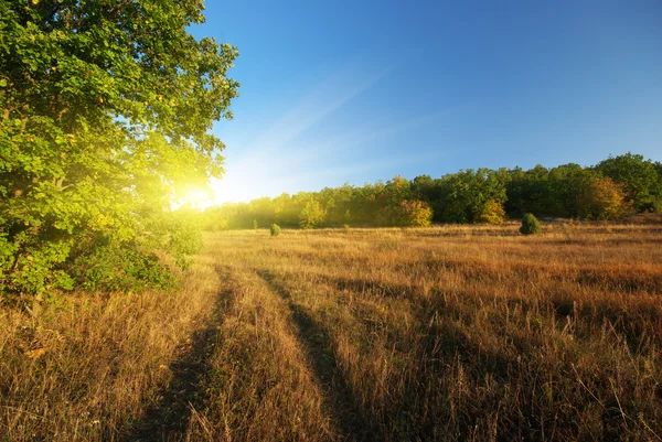 Herbstliche Landschaft — Stockfoto