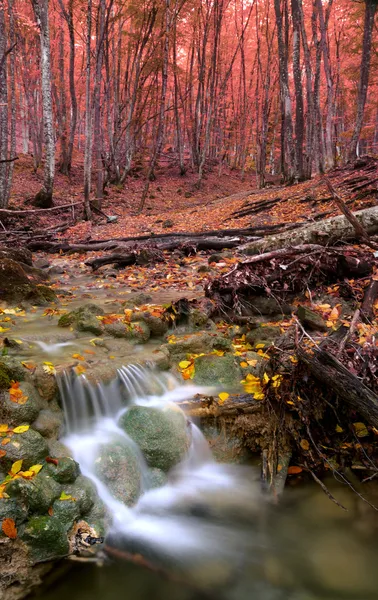 Herfst rivier — Stockfoto