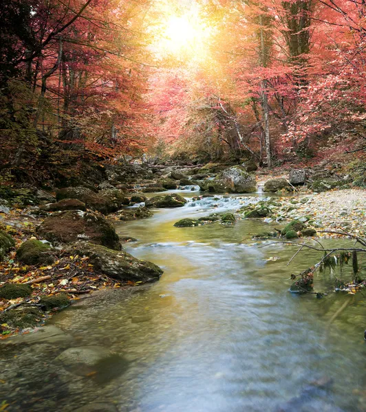 Řeka na podzim lesa — Stock fotografie