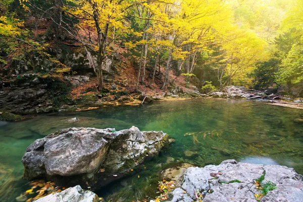Rivière d'automne — Photo