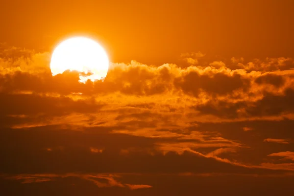 Великий сонця — стокове фото
