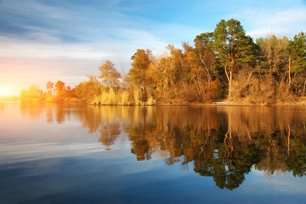 Rzeki i jesień las — Zdjęcie stockowe