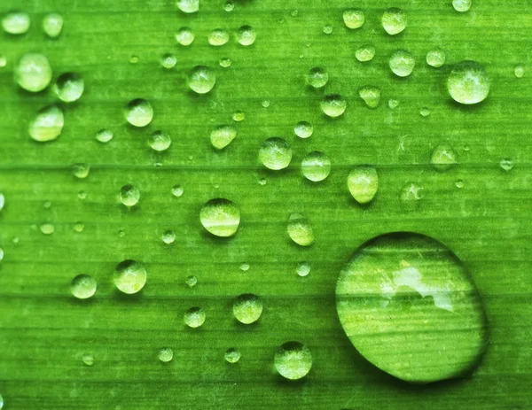 Gocce d'acqua — Foto Stock