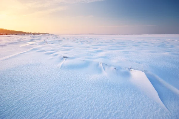 Vinterlandskap. — Stockfoto